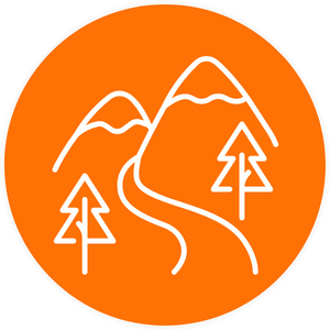 Skills Growth Tree Orange Button (2)