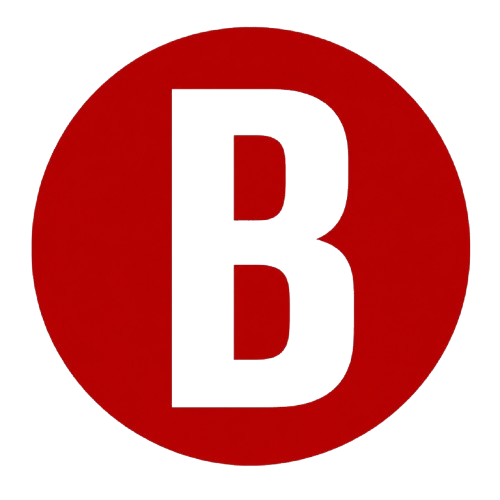 BigProductStore digital content and PLR marketplace logo